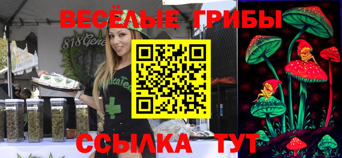 Галлюциногенные грибы прущие грибы Славянск-на-Кубани
